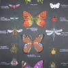 Бабочки и насекомые, гуашь, 25x41 см, 2007 год